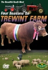 Trewint Farm